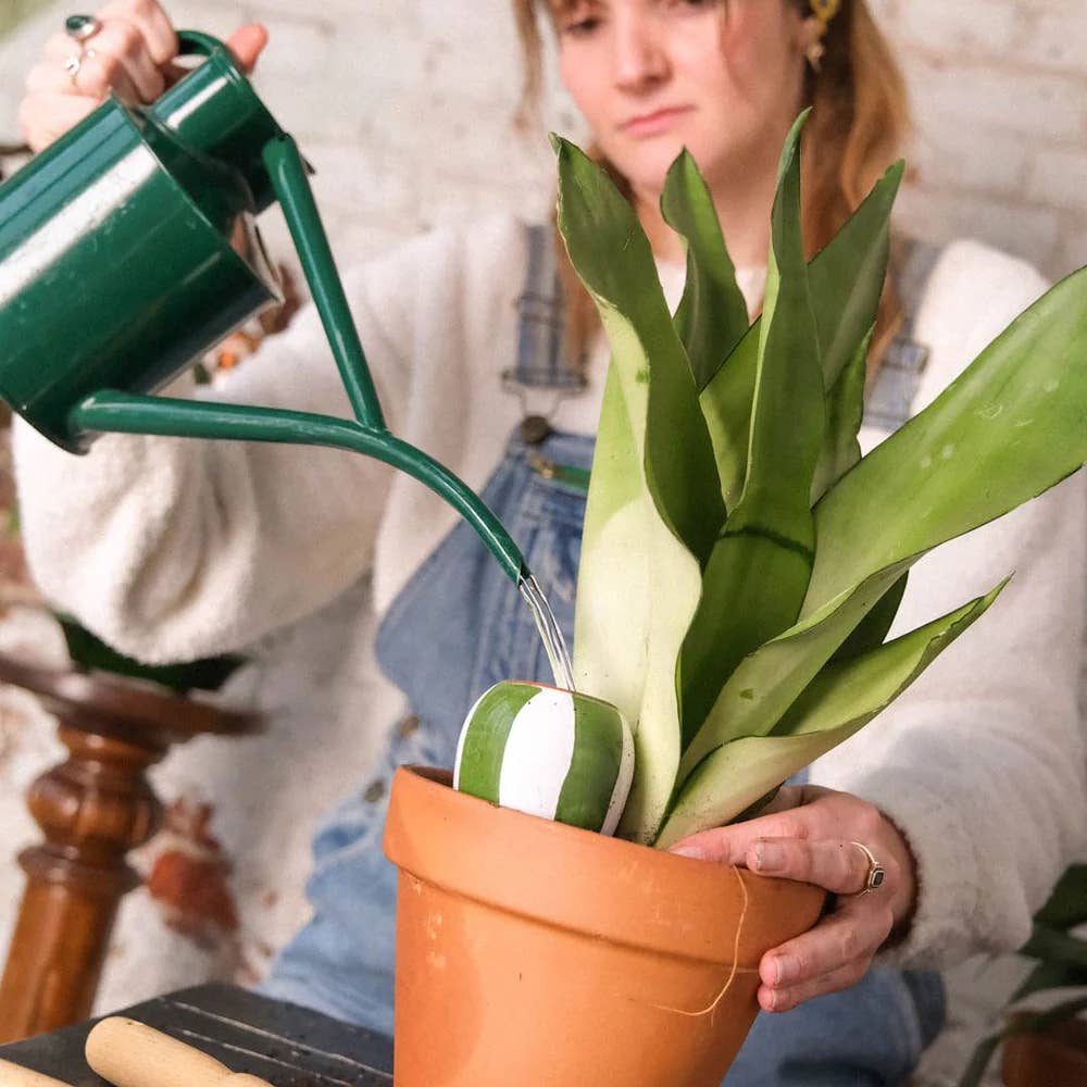 Box Trio Mini Ollas - the Striped