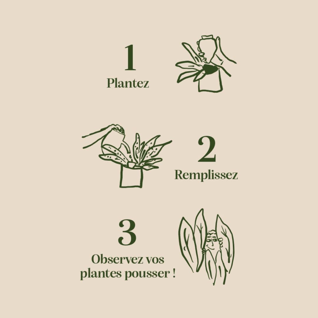 Olla - Speckled white (best seller)